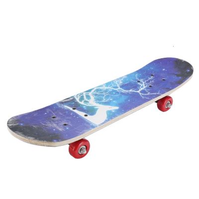 22 inch Skateboard Double Rocker Board Maple Four 4 Wheels For Kid Child Outdoor Figure Skating 3 Colors Frosted Double Up Board