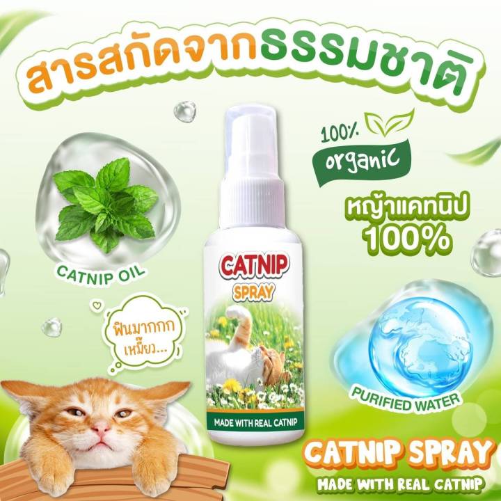 catnip-spray-สเปรย์แมว-ผ่อนคลายแมว-อารมณ์ดี-ลดความเครียด-ลดความก้าวร้าว-ดมแล้วฟิน