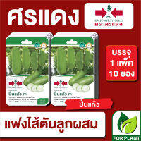 ผักซอง ศรแดง เมล็ดพันธุ์ พันธุ์ผัก แฟง ปิ่นแก้ว  F1 บรรจุแพ็คล่ะ 10 ซอง ราคา 230 บาท