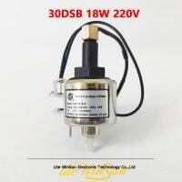 ไมโครปั๊ม30DSB 18W 220V 240V V สำหรับอุปกรณ์เอฟเฟกต์บนเวทีอุปกรณ์ดีเจเครื่องทำหมอกปั๊มน้ำมันสำหรับฟื้นฟู