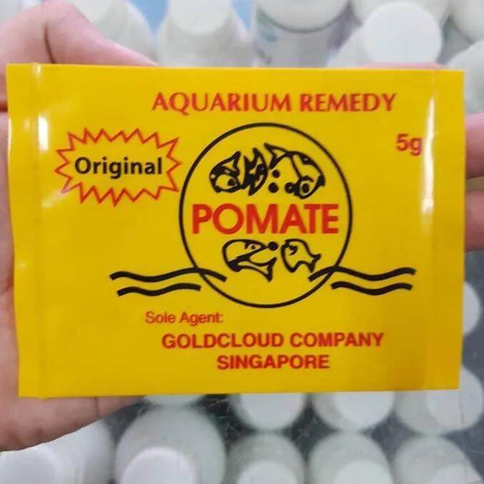 POMATE ORIGINAL 5GR OBAT IKAN ASLI SINGAPORE Lazada Indonesia