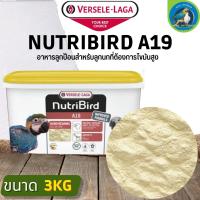 NutriBird A19 อาหารลูกป้อนเพื่อป้อนลูกนก สูตรไขมันสูง ฝาเหลือง (ถัง3kg)