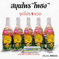 Pochong โพชง(ชุด 5 ขวด) สมุนไพรพฤกษาชาติ 32ชนิด บำรุงร่างกายปริมาณ 980ML.