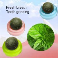 Natural Catnip Ball For Cat Lick Treats Toy Kitten Chewing Toy Removes Hair Ball Teeth Cleaning Promote Appetite Catnip Balls Toys