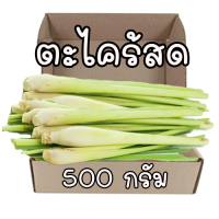 ตะไคร้บ้าน 500 กรัม ปลูกโดยชาวบ้าน สะอาดปลอดภัย ไร้สารพิษ ตัดสดใหม่ตามออเดอร์