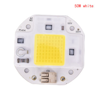 Rayua 100W 70W 50W 220V cob LED Chip สำหรับ Spotlight Floodlight LED Light beads อลูมิเนียม