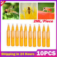 【High Quality+In Stock】10Pcs/Bag Fruit Fly Attractant 2ml Trap Bait Beekeeping Beehive Tool Killer Swarm