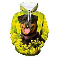 2023 NewFashion Rottweiler 3D พิมพ์สุนัขน่ารักกราฟิก Hoodies ผู้ชายและผู้หญิงสบายๆแขนยาวสัตว์เลี้ยงสุนัขเสื้อกันหนาว Hoodies