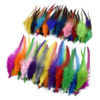 50Pcs Colored Pheasant Feathers for Decoration Catcher Cock Handicraft Rooster Accessories Needlework