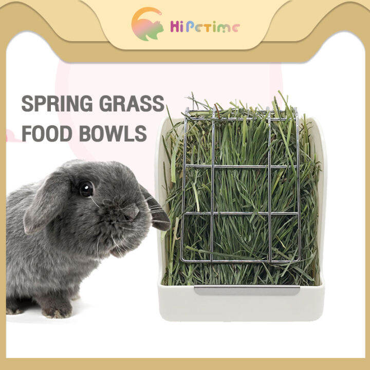 Rabbit Spring Grass Rack - Totoro Fixed Food Bowl for Guinea Pigs and ...