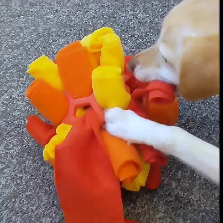 Kawaii Sniffing Fried Ball Toy Dog Blind Food Bubble Rubber Ball Smell