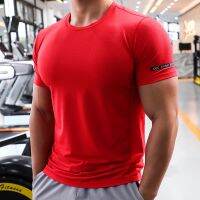 Men 39;s Casual Sportswear Youth Fitness Sports Clothes Gym Running T-Shirt Outdoor Jogging Tops Thin Breathable Elasticity Dry Fit