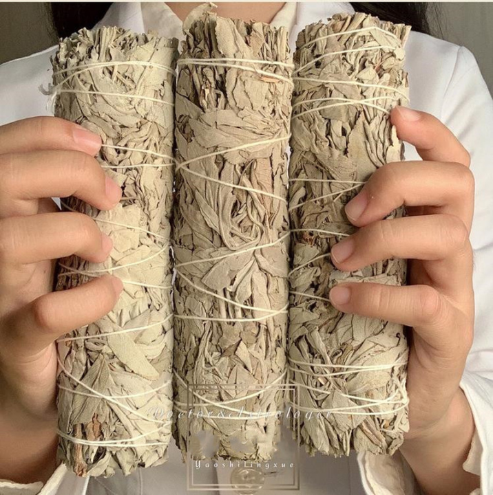Salvia Black Turkey Feather White Sage Purification Guide Feather Wind ...