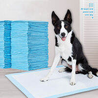 100pcs Super Absorbent Soft Diapers Training Pee Pads Healthy Nappy Mat Dog High QualDiapers Cage Matit