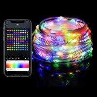 ZZOOI RGB LED Fairy Magic Point Control String Light Remote Bluetooth USB Smart Garland Lamp Festoon Bedroom Party Christmas Light