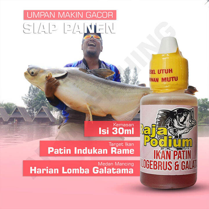 Essen Ikan Patin Jambal Indukan Babon Kolam Harian Lomba Galatama 30ml