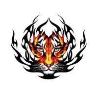 Funny Tiger Flame Creativity Car Sticker Automobiles Motorcycle Exterior Accessories PVC Decals for Toyota Honda Lada Car Door Protection