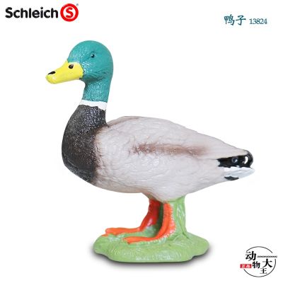 Sile Schleich simulation wild animal model childrens plastic toy 13824 male duck blue-headed duck