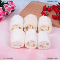 mishun318862 6pcs NATURAL Loog luffa looffa สปาฟองน้ำห้องครัวสะอาดขัดแปลกใหม่