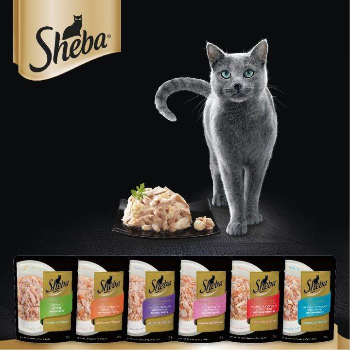 sheba-ชีบา-pack-24-premium-cat-food-tuna-pumpkin-and-carrot-in-gravy-อาหารแมว-ชนิดเปียก-อาหารแมวพรีเมียม-รสปลาทูน่า-ฟักทองและแครอทในน้ำเกรวี่-แพ็ก-24-70-ก