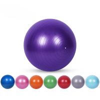 Balls Pilates with Anti-Burst Anti-Slip Gym Exercise Workout Massage