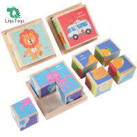 ◾ บล็อกไม้ปริศนา Cube ปริศนา6 In 1ตรึงปริศนาการศึกษาก่อนวัยเรียน Montessori จิ๊กซอว์ปริศนา