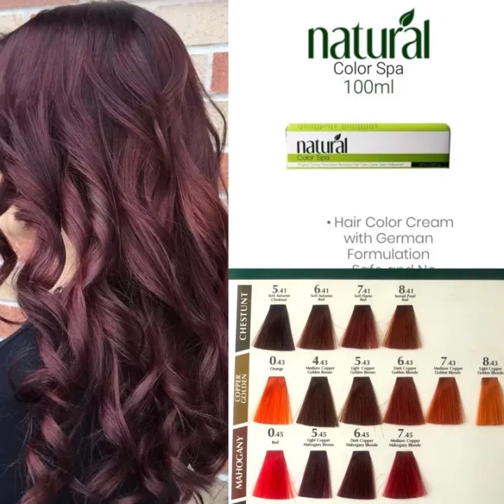 Natural Color Spa 100ml ( Chestnut / Copper Golden / Mahogany Hair Color )  | Lazada PH