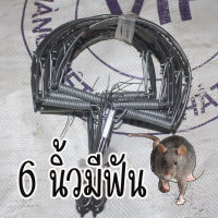 กับเหล็ก 6 นิ้วมีฟัน กับวงเดือน แบบมีฟัน กับดักหนู