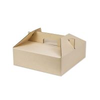 กล่องเทคโฮม กล่องเบนโตะ กล่องอาหารหูหิ้ว กล่องTakeHome แพค10 ใบ
