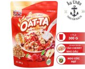 Ngũ cốc ăn sáng giảm cân yến mạch trái cây Oatta 300g ăn liền nguyên chất giàu dinh dưỡng cao cấp slim fit