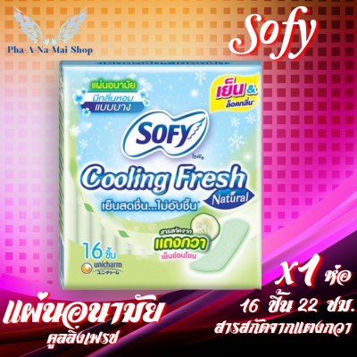 ผ้าอนามัย แผ่นอนามัย แพ็ค 6 ห่อ (16ชิ้น/1ห่อ) โซฟี คูลลิ้ง เฟรช Sofy Cooling Fresh มีกลิ่นหอม แบบบาง ไม่อับชื้น สกัดจากแตงกวา 16ชิ้น Sanitary Napkin