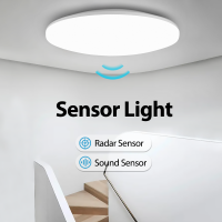 LED Ceiling Lamp with RadarSound Motion Sensor Lights for Hallways 220V Lighting Fixture Modern Ceiling light for Room Corridor