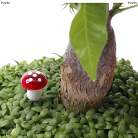 Kada Lot of 10 Miniature MUSHROOM Fairy Garden เครื่องประดับตุ๊กตาตกแต่งหม้อ DIY CRAFT