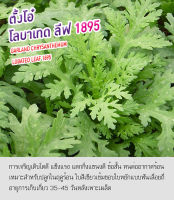 เมล็ดพันธุ์ ตั้งโอ๋ โลบาเทด ลีฟ 1895 - Garland Chrysamthemun Lobated Leaf ตราดอกแตง เมล็ดพันธุ์คุณภาพ "เพื่อนเกษตรกร"