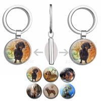 Dog Keychain Cute Dog Dachshund  German Hound Picture Glass Cabochon Double Side Keychain Fashion Accessories Handmade Gift Nails Screws Fasteners