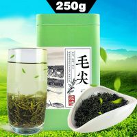 2021 Xinyang Maojian Tea Gift Packing High Quality Mao Jian Fresh Green Tea 250g