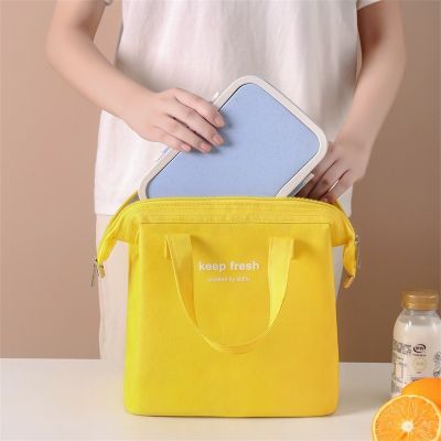 [COD] The new large-capacity insulation lunch bag portable out to work box steel frame Baoma macaron ice