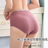 PLUS SIZE Women Panties Underwear Large Size Middle Waist Ladies Panty Seluar Dalam Wanita Size Besar Panties Plus Size女生大号内裤 大碼內褲