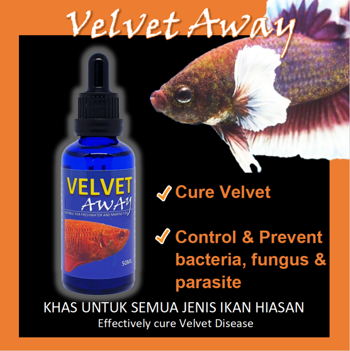 Velvet Away 50ml cure your betta fish disease / Gold dust Disease