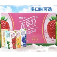 ?สุดปัง? (K32草莓味รสสตรอเบอร์รี่) นมผลไม้ พร้อมส่ง(蒙牛真果粒)ขนาด 250ml หอม อร่อย กลมกล่อม มีประโยชน์และคุณค่าทางโภชนาการ KM16 อาหาร ของกิน ของฝากKM16.8048?ลดกระหน่ำ?