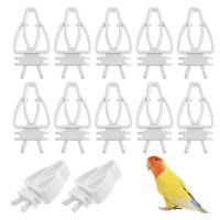 6Pcs Parrot Birds คลิปอาหาร Bird Cage Feeder ผักผลไม้คลิปสำหรับ Canaries atoos Finches Bird Cage อุปกรณ์เสริม