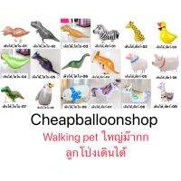 ลูกโป่ง เดินได้ Walking pet ลูกโป่งเดินได้ ไดโนเสาร์ ยูนิคอร์น สัตว์ ส่งจากกทม.