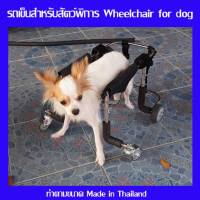 (ทักแชททุกครั้ง)wheelchair4dog รถเข็นสำหรับสัตว์พิการ รอบตัว12-15นิ้วล้อเลื่อนสำหรับสุนัขพิการ dog wheelchair หรือสัตว์ที่มีอาการอัมพฤกษ์