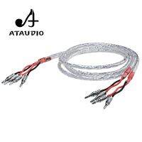 One Pair HIFI Silver-plated Speaker Cable Hi-end 6N OCC Speaker Wire For Hi-fi Systems