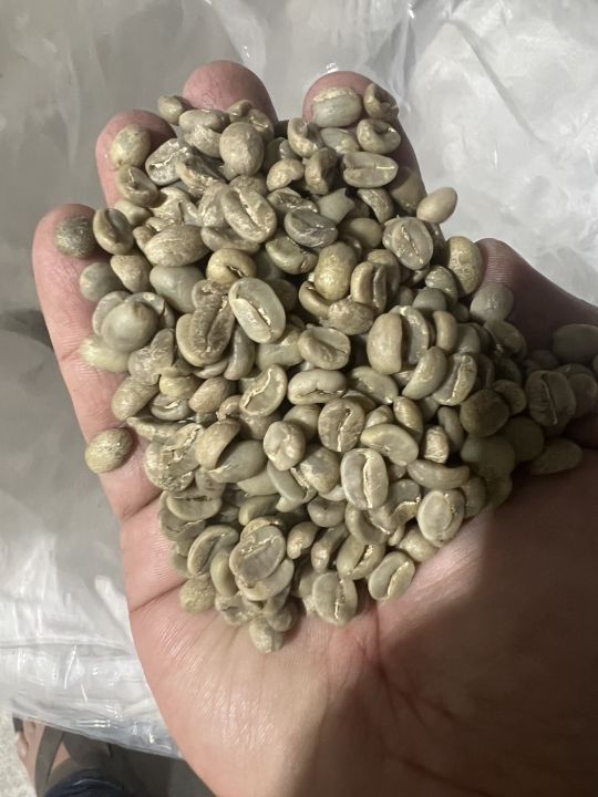สารกาแฟ-ดอยช้าง-เกรด-aa-อราบิก้า-arabica100-crop-ใหม่