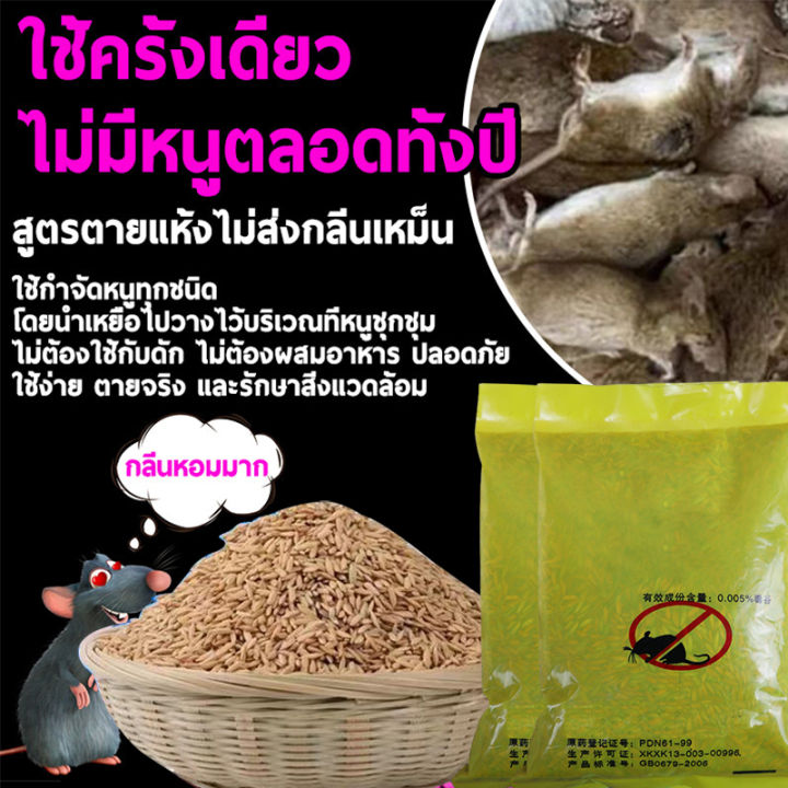 ฆ่าหนู-ฆ่าหมา-พรุ่งนี้เขาจะตาย-ยาเบื่อหนูแห้ง-ยาเบื่อหนู-500g-เข้มข้นสุดๆ-หนูแห้งตายข้างนอกไม่เหม็น-แรงๆ-กำจัดหนูในบ้าน-ปลอดหนูตลอดทั้งปี-กำจัดหนู-ยาเบื่อหมา-เหยื่อกำจัดหนู-ยาเบื่อ-หนู-ยากำจัดหนู