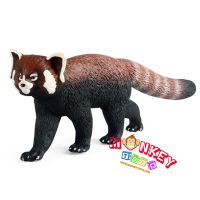 Monkey Toys - โมเดลสัตว์ Red Panda แแพนด้าแดง ขนาด 19.00 CM (จากหาดใหญ่)