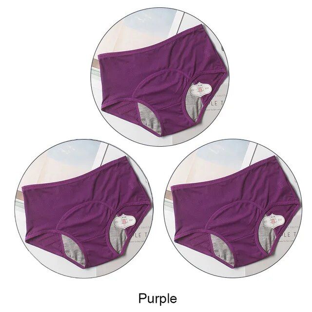 Physiological Period Leak Proof Menstrual Panties Breathable Seamless Soft  Fabric Women Underwear Breifs - AliExpress