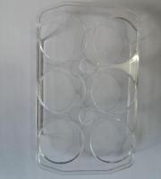 CCBXPJ-Quality Refrigerator Parts 6 Holes Transparent Plastic Egg Case Replacement For Haier Universal Fridge 159x95x23mm