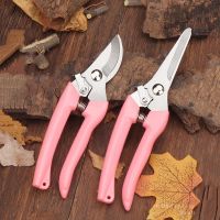 2pcs Garden Pruning Shears Color Stainless Steel Flower Pot Decorative Professional Scissors Fruit Flower Rough Branch Shears